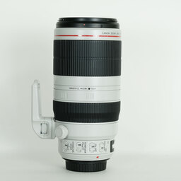 Canon EF100-400mm F4.5-5.6L IS II USM