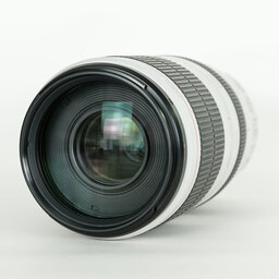 Canon EF100-400mm F4.5-5.6L IS II USM