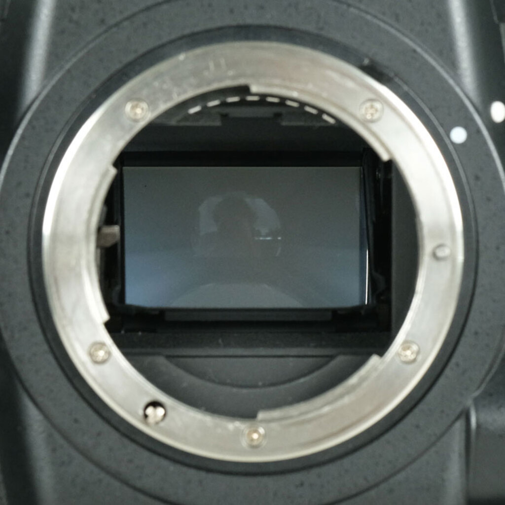 Nikon D4Sの出品 | ONE SCENE（ワンシーン）