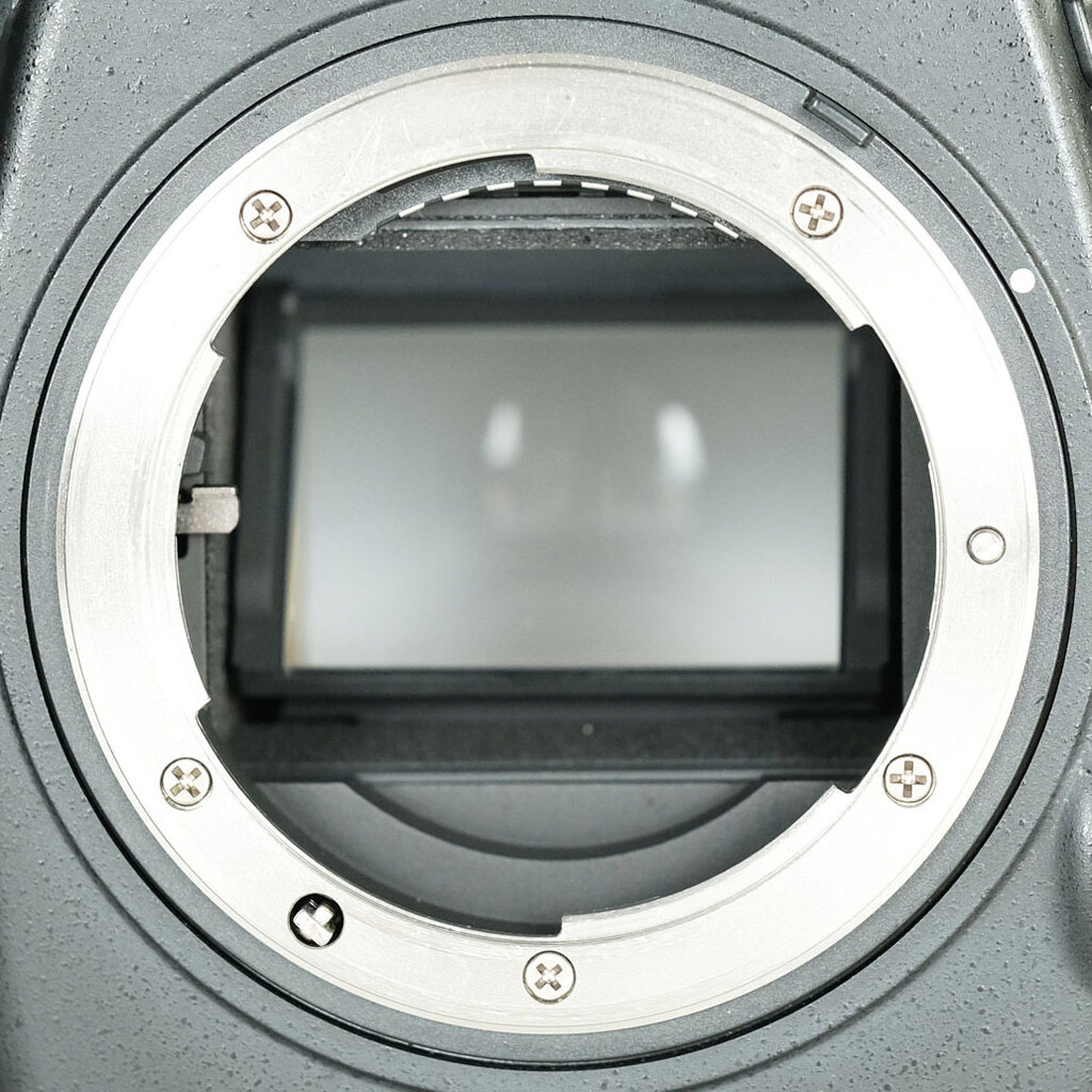 Nikon D800