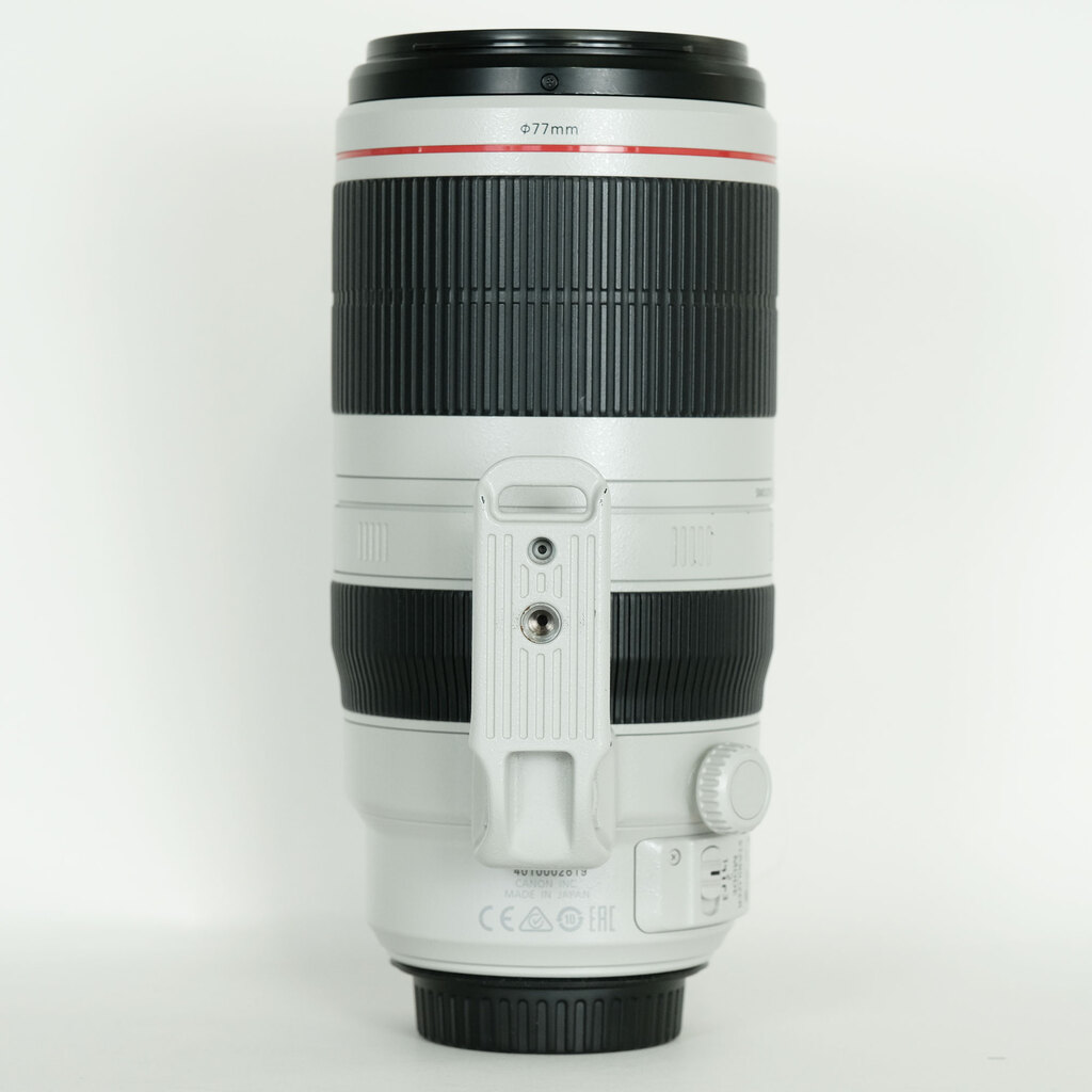 Canon EF100-400mm F4.5-5.6L IS II USM