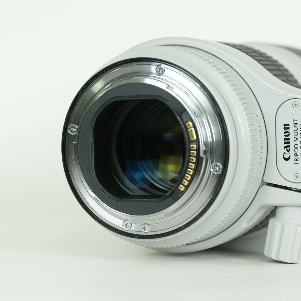 Canon EF70-200mm F2.8L IS III USM