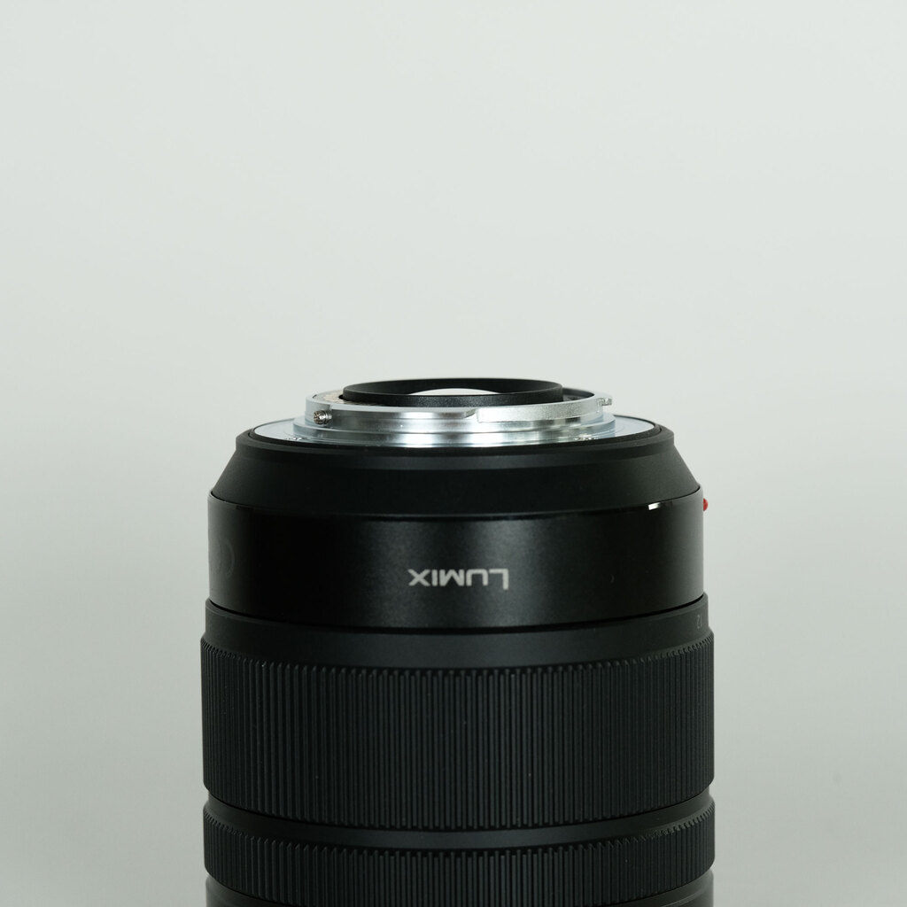 Panasonic LUMIX G VARIO 12-60mm / F3.5-5.6 ASPH. / POWER O.I.S.