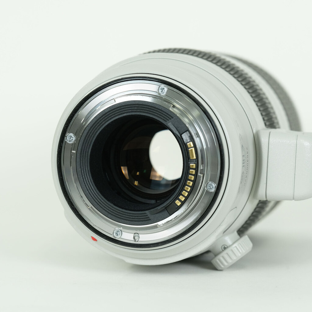 Canon EF100-400mm F4.5-5.6L IS II USM