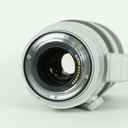 Canon EF100-400mm F4.5-5.6L IS II USM