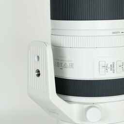 Canon RF100-500mm F4.5-7.1L IS USM