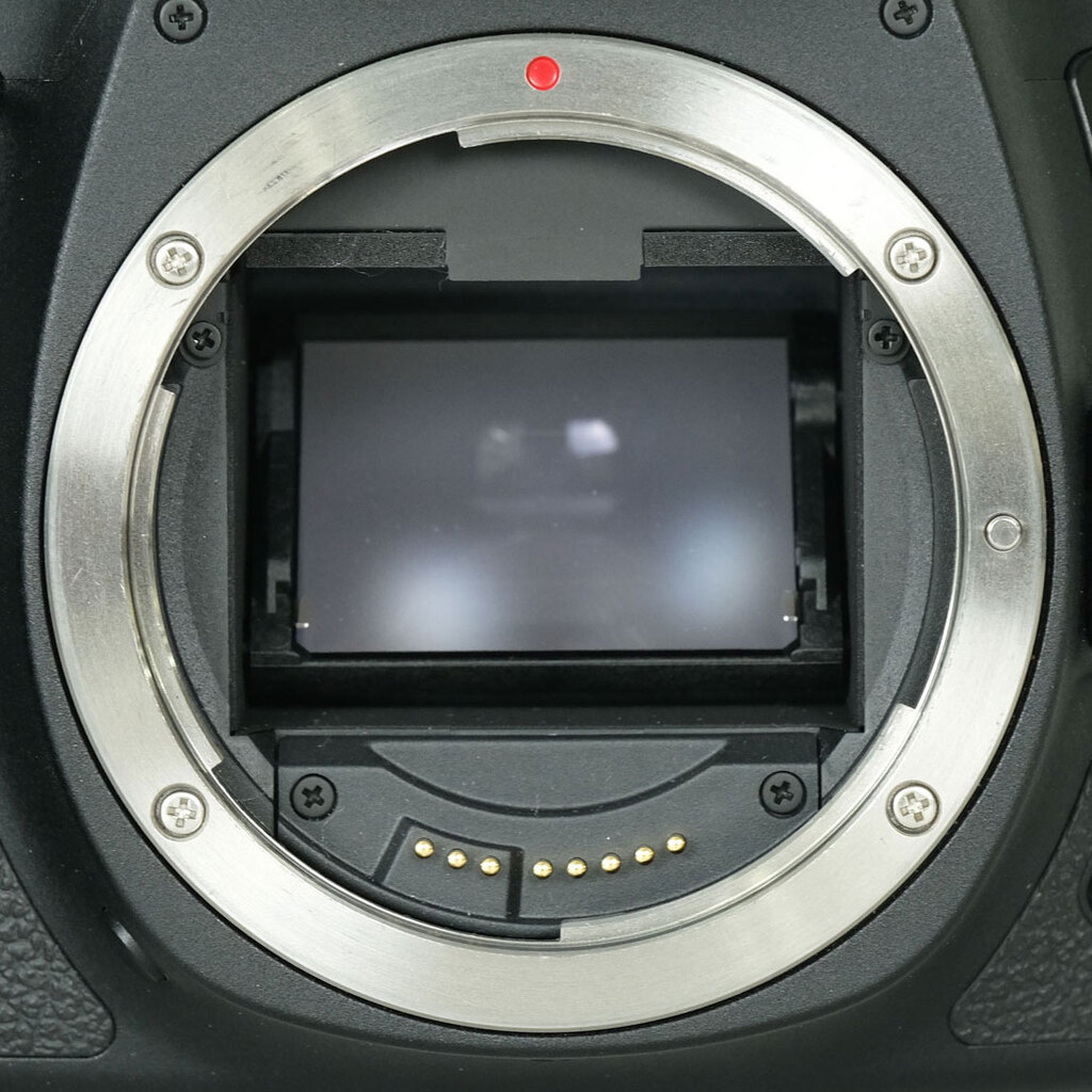 Canon EOS 6D Mark II