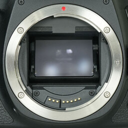 Canon EOS 6D Mark II