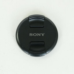 SONY FE 24-105mm F4 G OSS SEL24105G