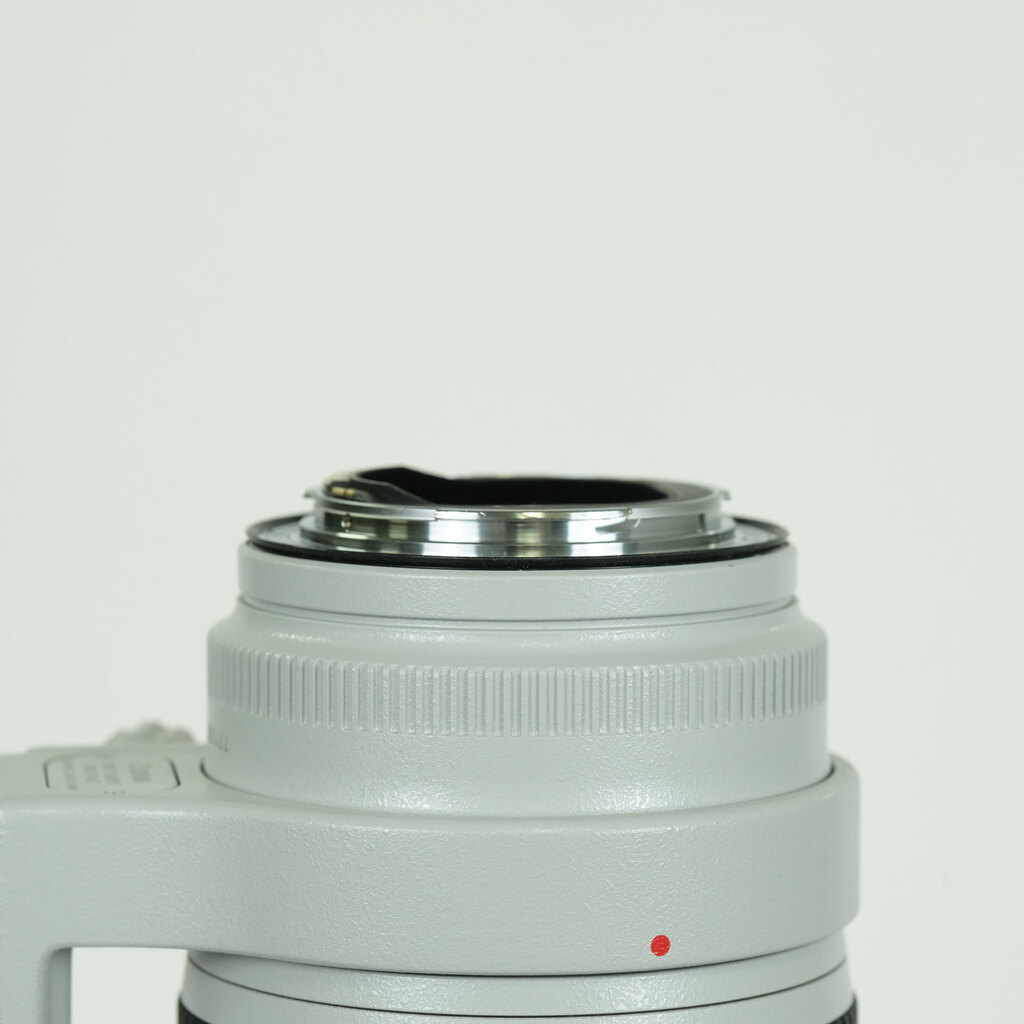 Canon EF70-200mm F2.8L IS III USM