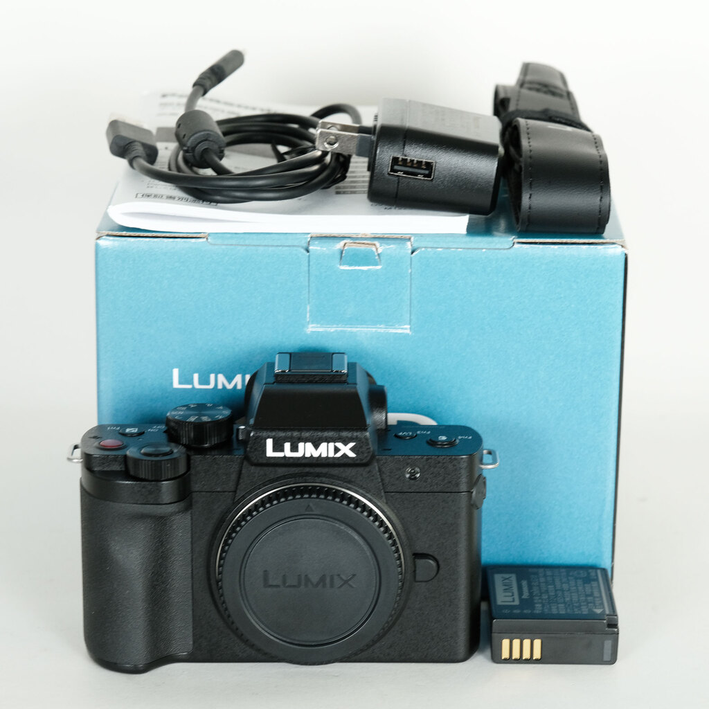 Panasonic LUMIX DC-G100