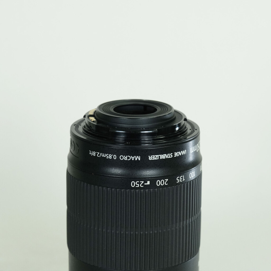 Canon EF-S55-250mm F4-5.6 IS STM