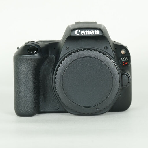 Canon EOS Kiss X9を徹底解説。作例からおすすめレンズまで | ONE