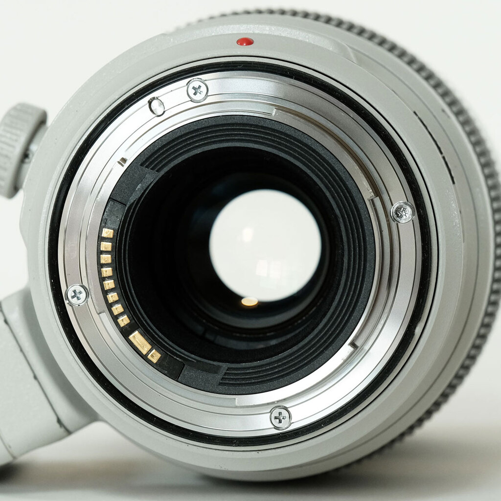 Canon EF100-400mm F4.5-5.6L IS II USM