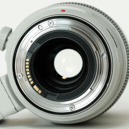 Canon EF100-400mm F4.5-5.6L IS II USM