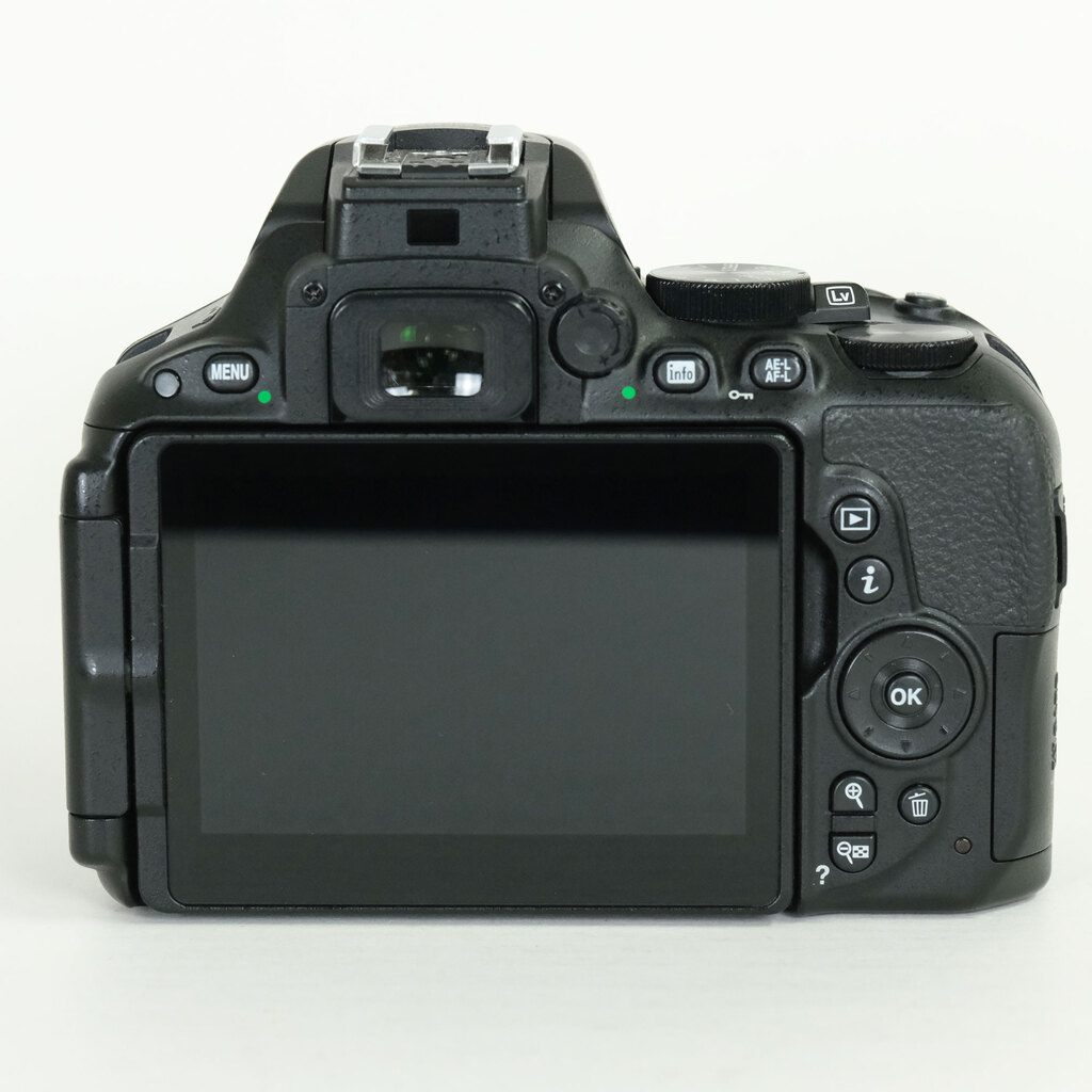 Nikon D5500