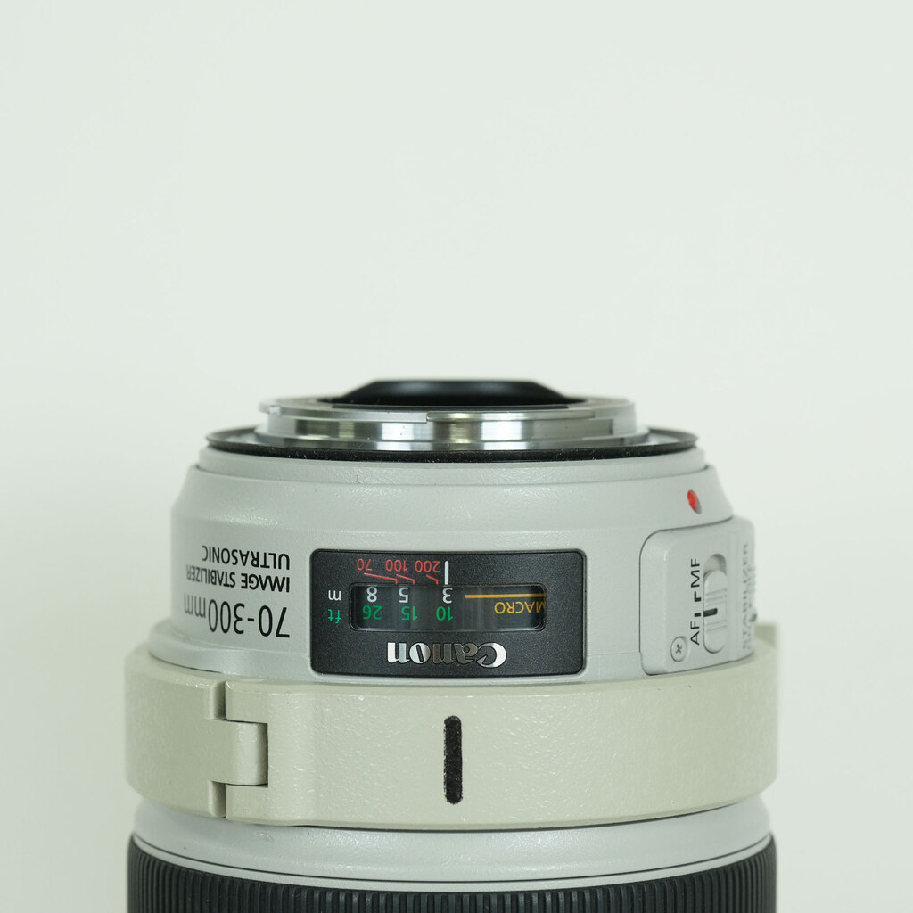 Canon EF70-300mm F4-5.6L IS USM