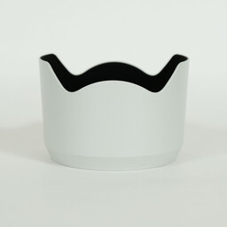 SONY FE70-200mm F4 Macro G OSS II SEL70200G2