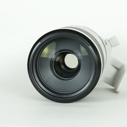 Canon RF100-500mm F4.5-7.1L IS USM