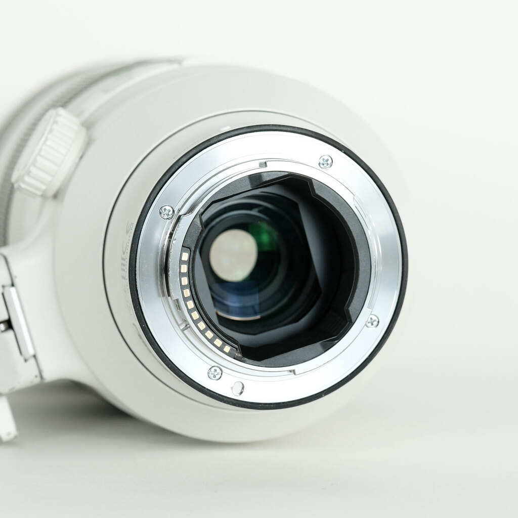 SONY FE 100-400mm F4.5-5.6 GM OSS SEL100400GM