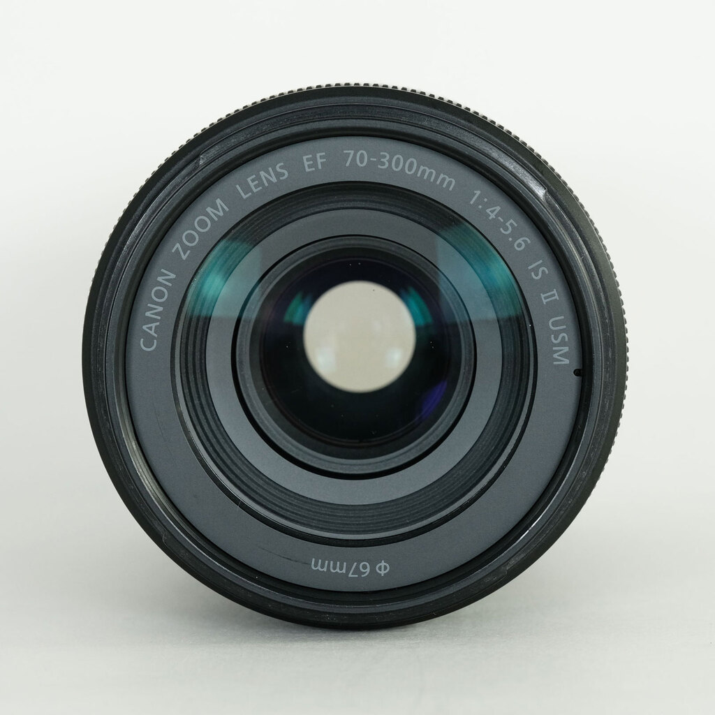 Canon EF70-300mm F4-5.6 IS II USM