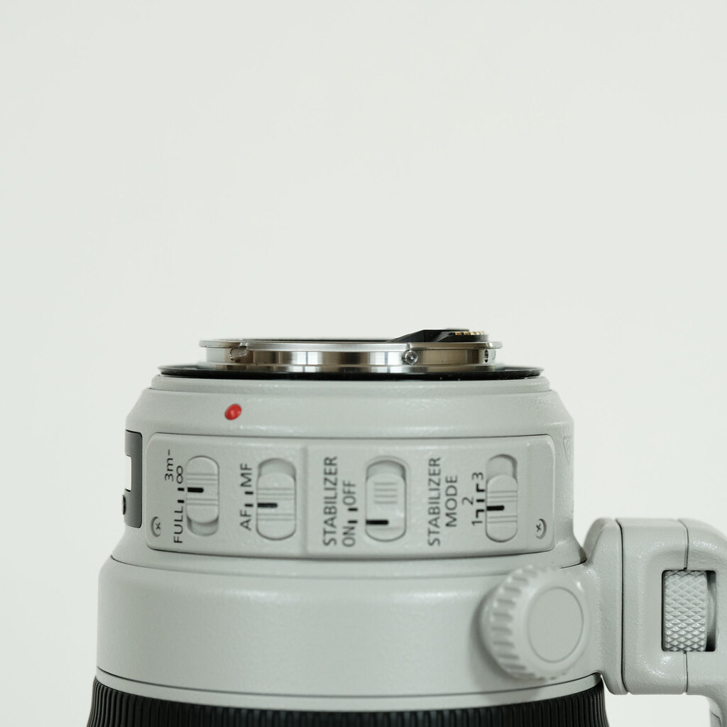 Canon EF100-400mm F4.5-5.6L IS II USM