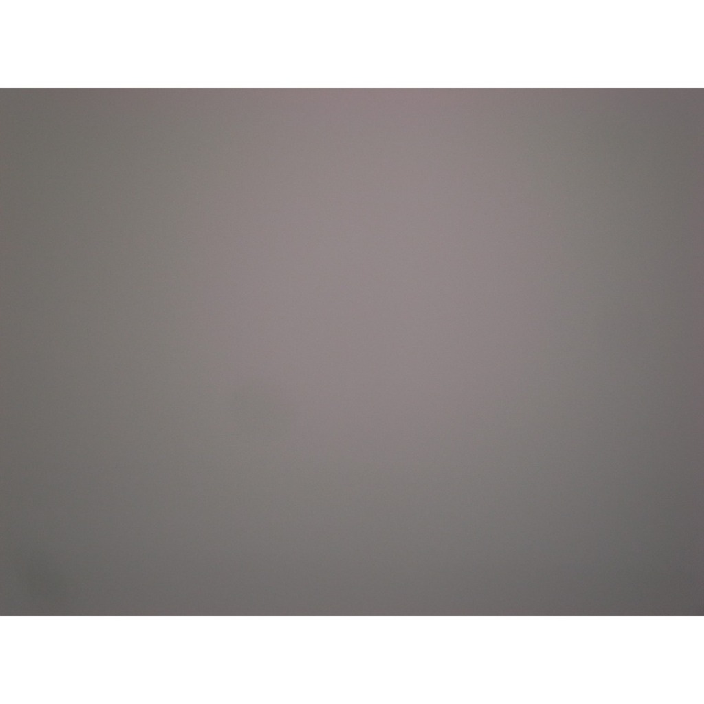 RICOH GR DIGITAL II
