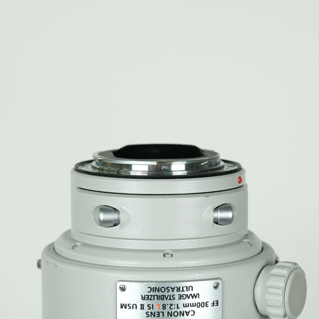 Canon EF300mm F2.8L IS II USMの出品 | ONE SCENE（ワンシーン）