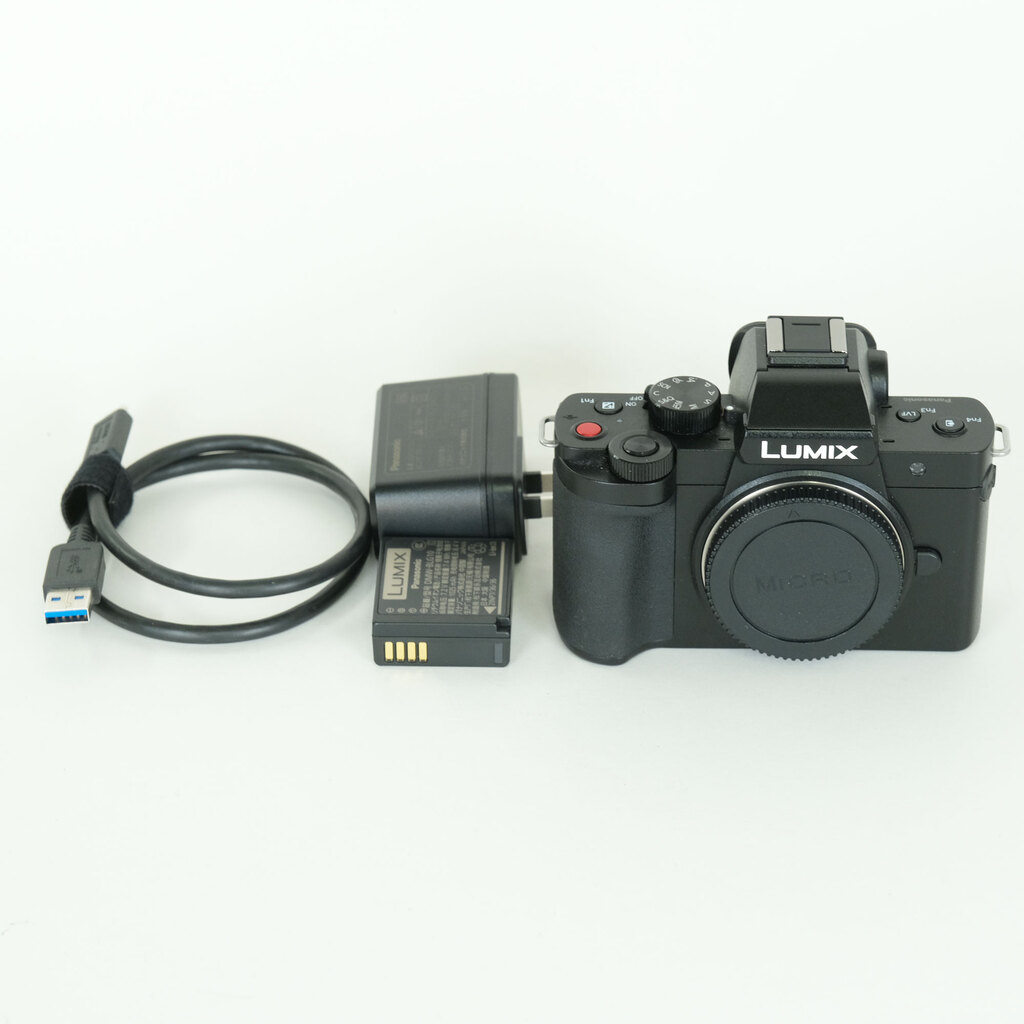 Panasonic LUMIX DC-G100