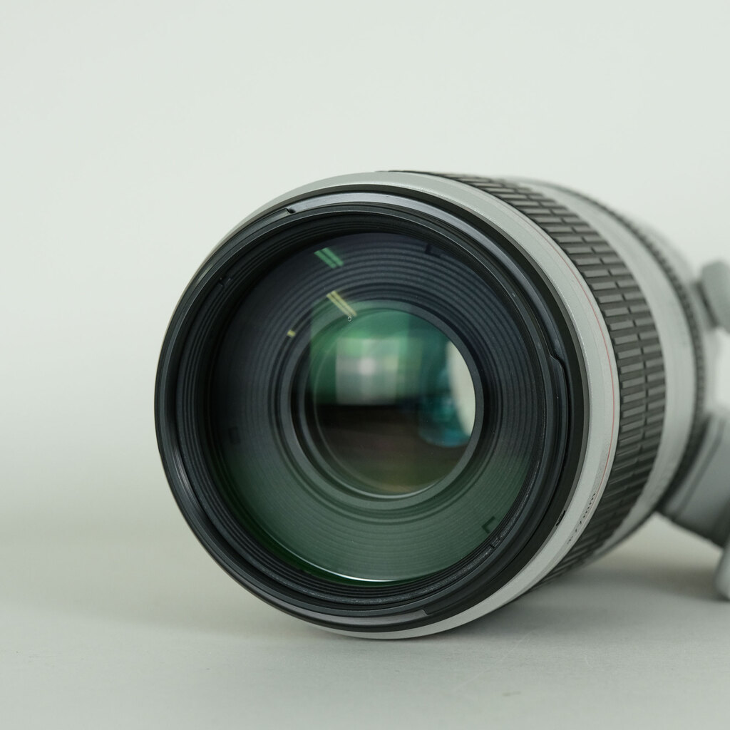 Canon EF100-400mm F4.5-5.6L IS II USM