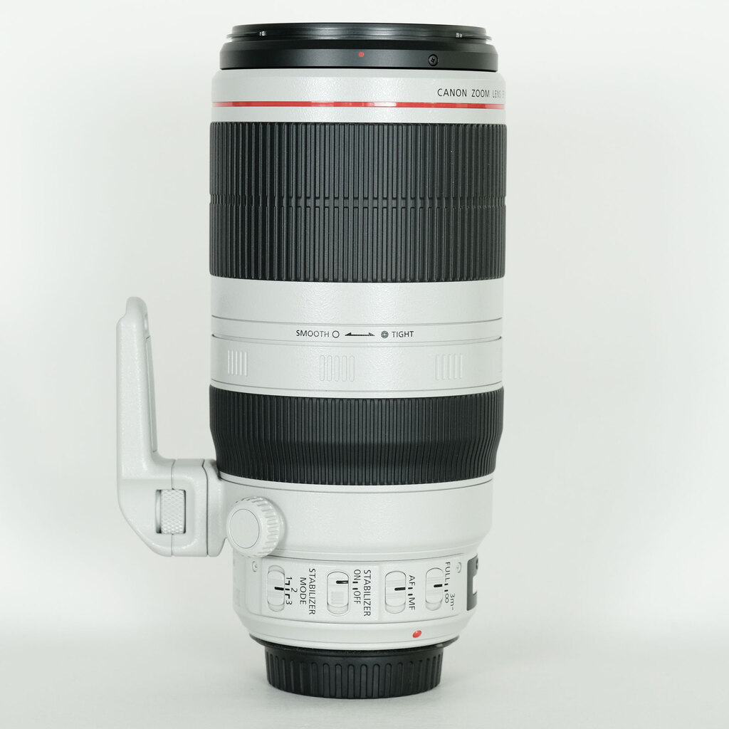 Canon EF100-400mm F4.5-5.6L IS II USM
