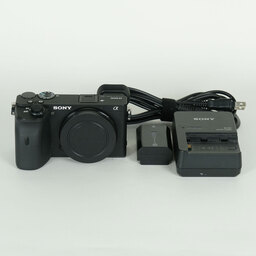 SONY α6600（ILCE-6600）