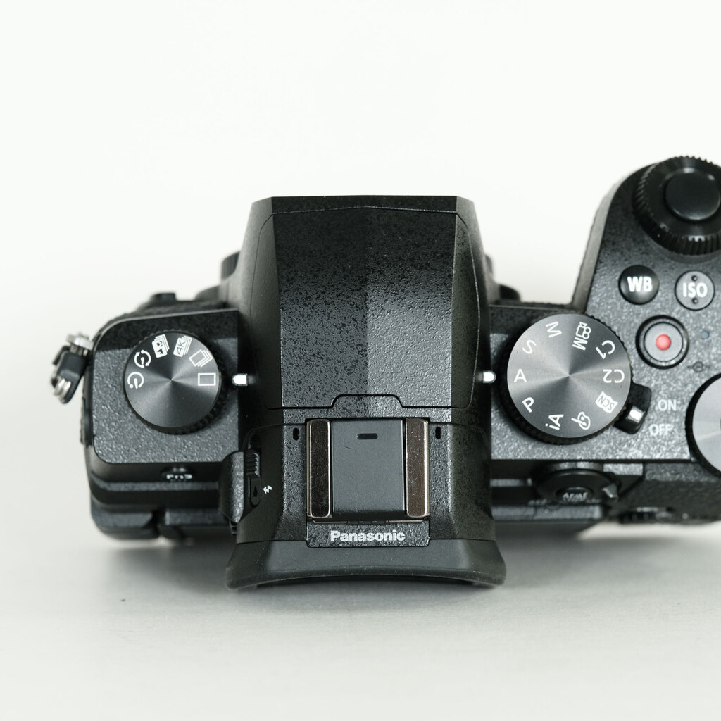 Panasonic LUMIX DC-G99