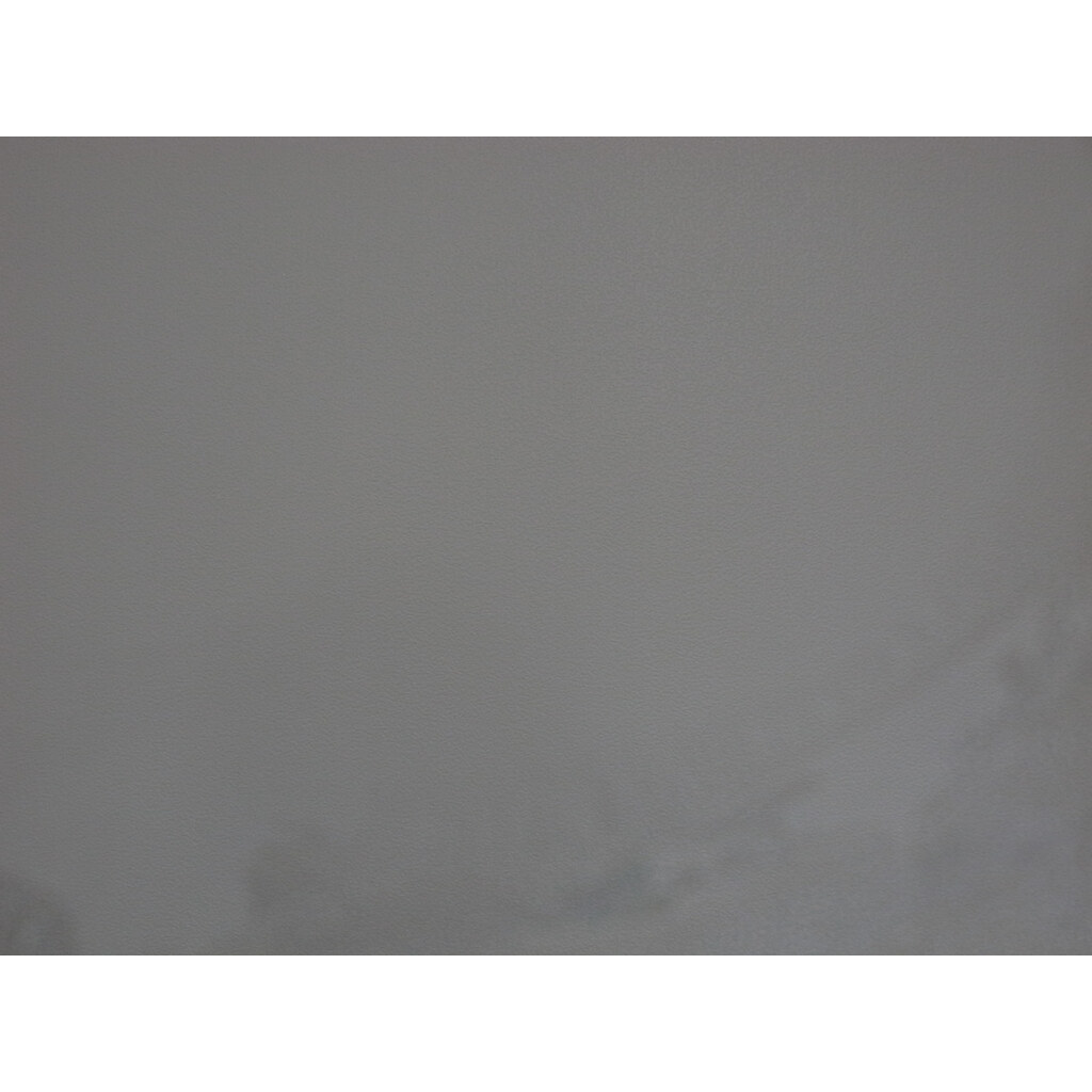 RICOH GR DIGITAL III