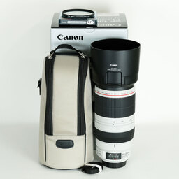 Canon EF100-400mm F4.5-5.6L IS II USM