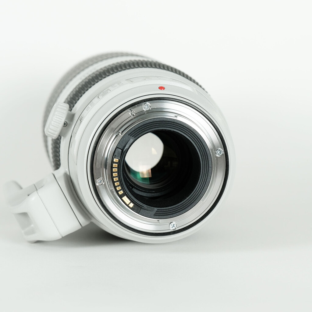 Canon EF100-400mm F4.5-5.6L IS II USM