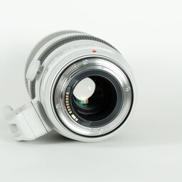 Canon EF100-400mm F4.5-5.6L IS II USM