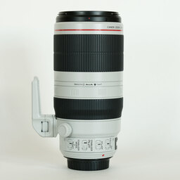 Canon EF100-400mm F4.5-5.6L IS II USM