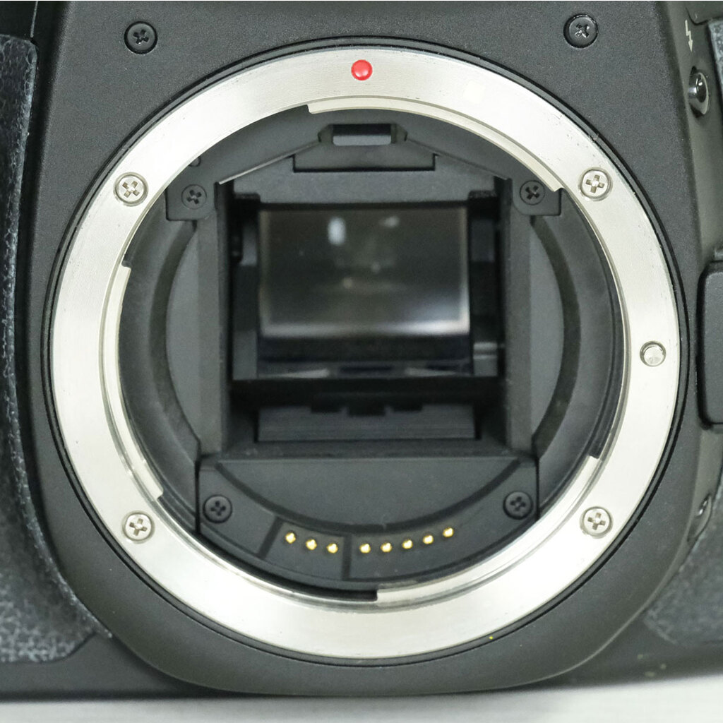 Canon EOS 40D ボディ