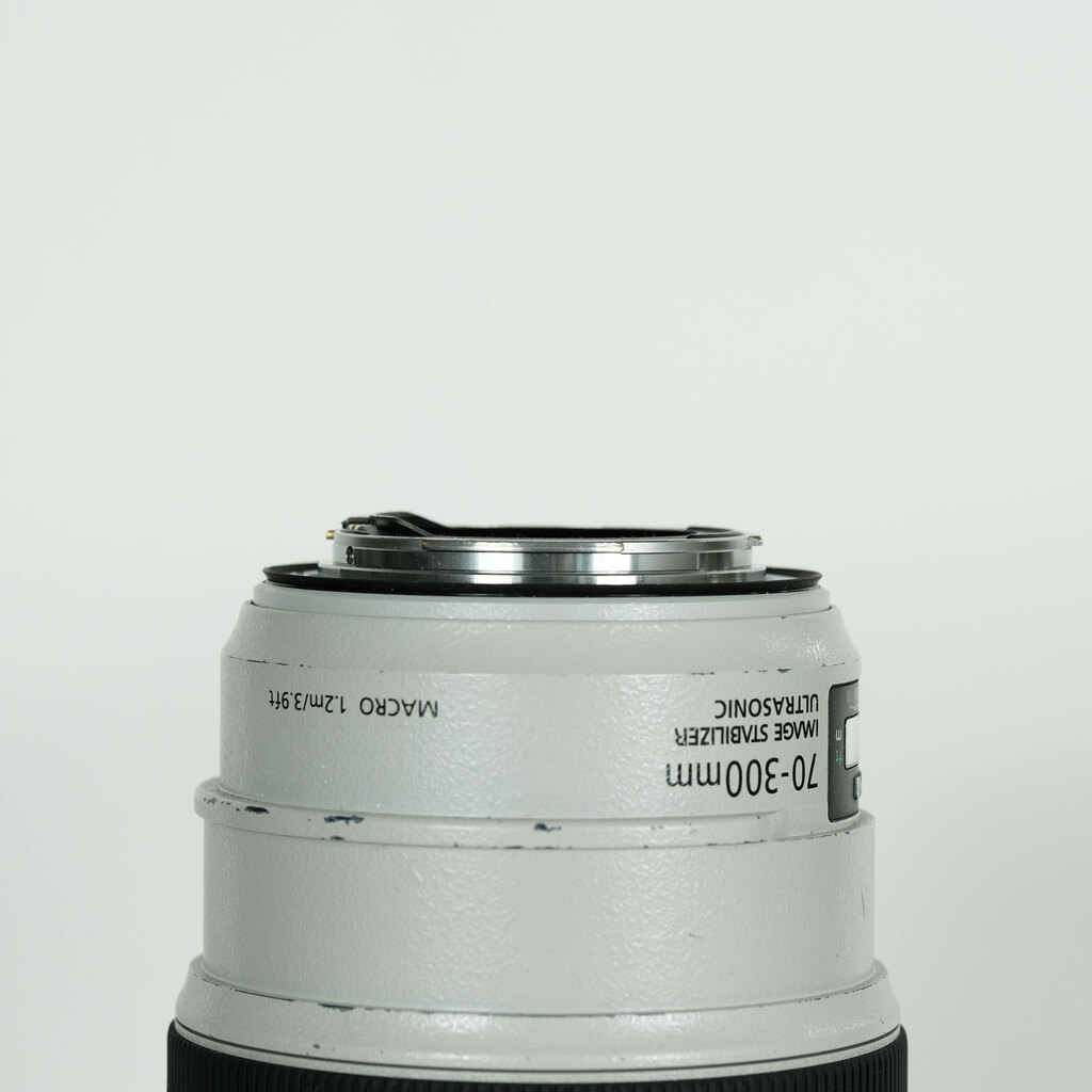 Canon EF70-300mm F4-5.6L IS USM