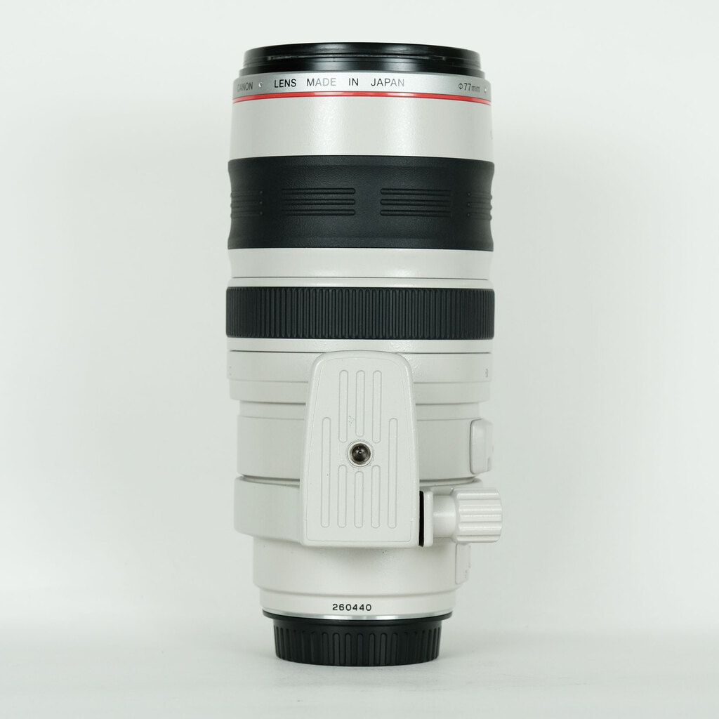 Canon EF100-400mm F4.5-5.6L IS USM