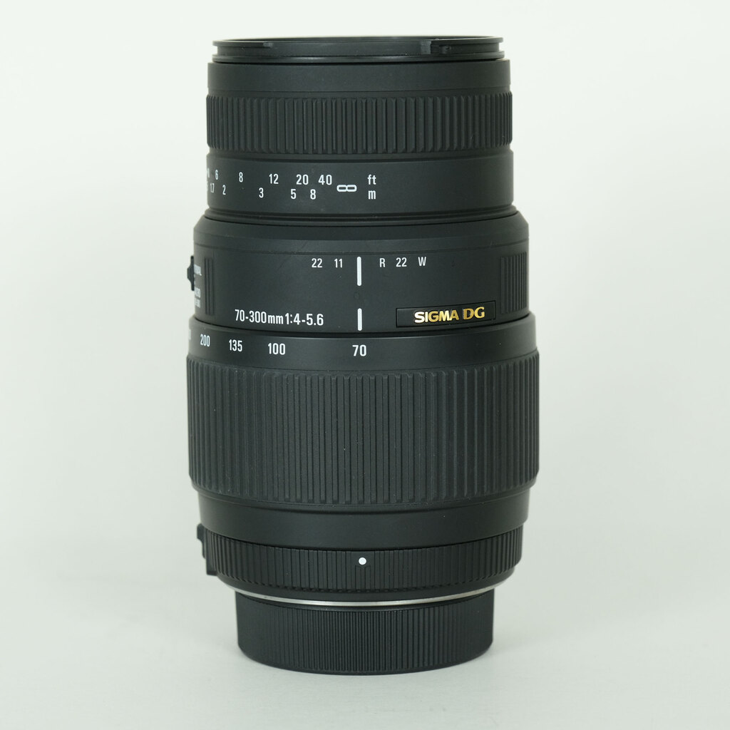 SIGMA 70-300mm F4-5.6 DG OS [�j�R��F�p]