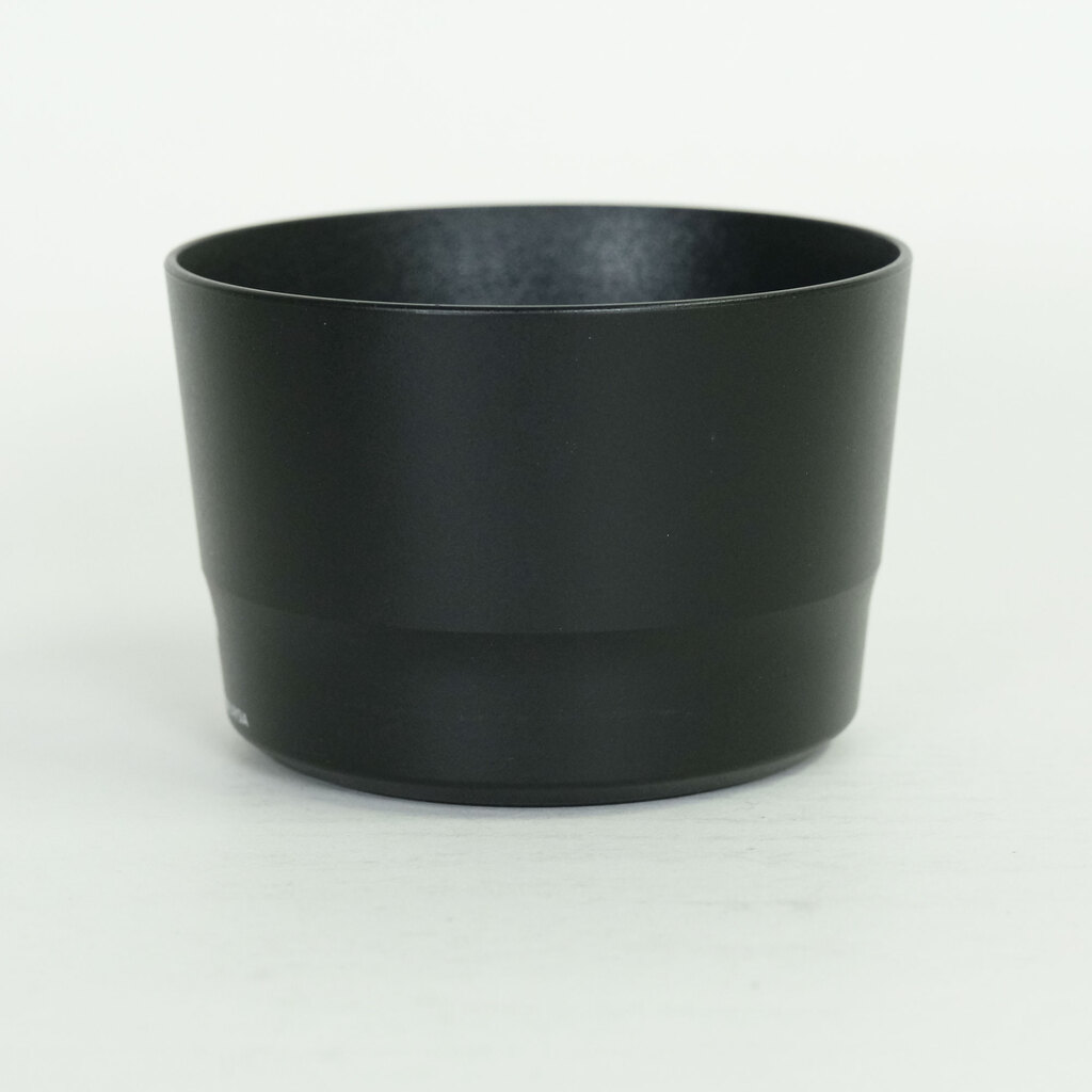 Canon EF-S55-250mm F4-5.6 IS STM