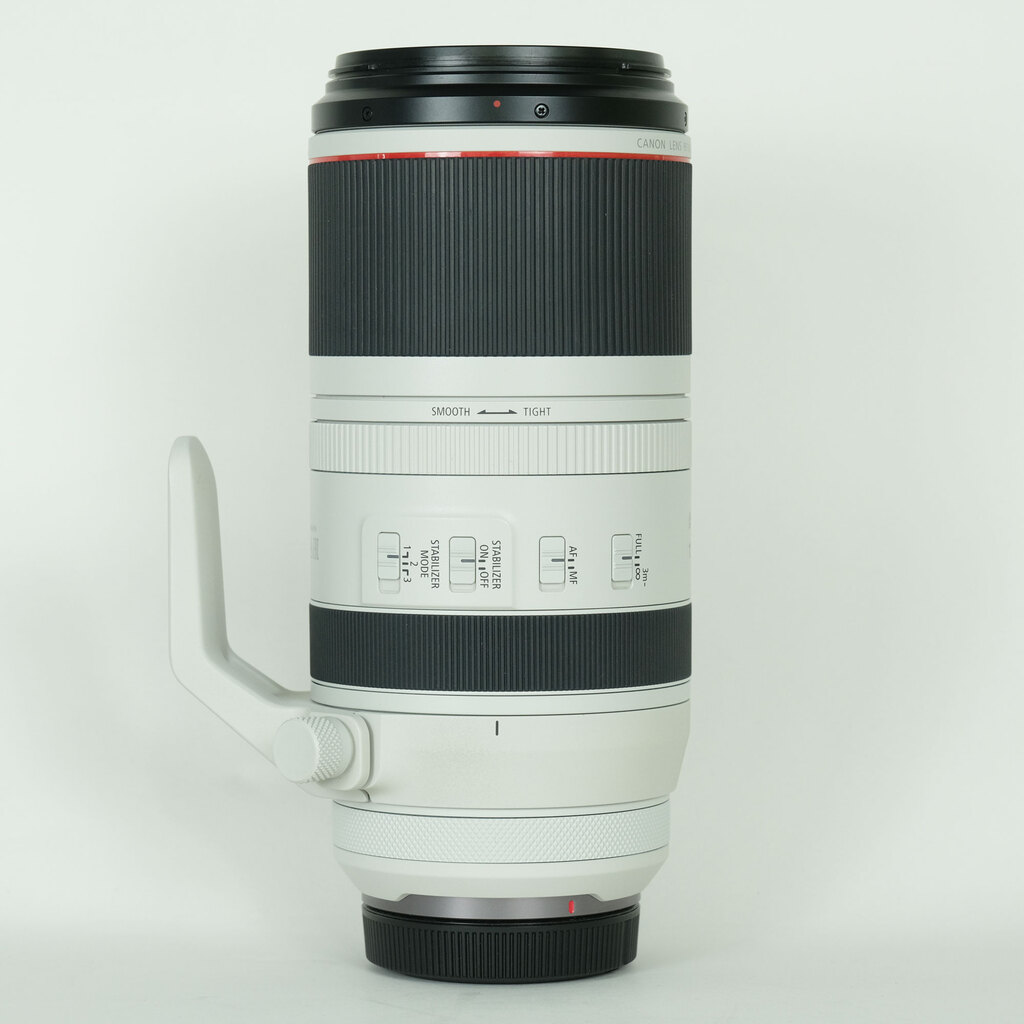 Canon RF100-500mm F4.5-7.1L IS USM