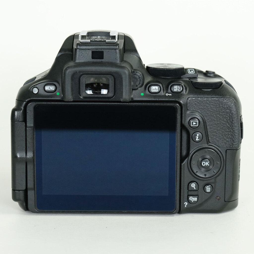 Nikon D5500