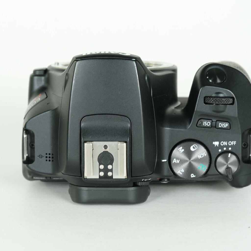 Canon EOS Kiss X10の出品 | ONE SCENE（ワンシーン）