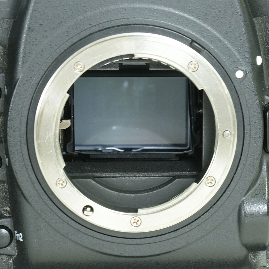 Nikon D5