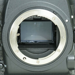 Nikon D5