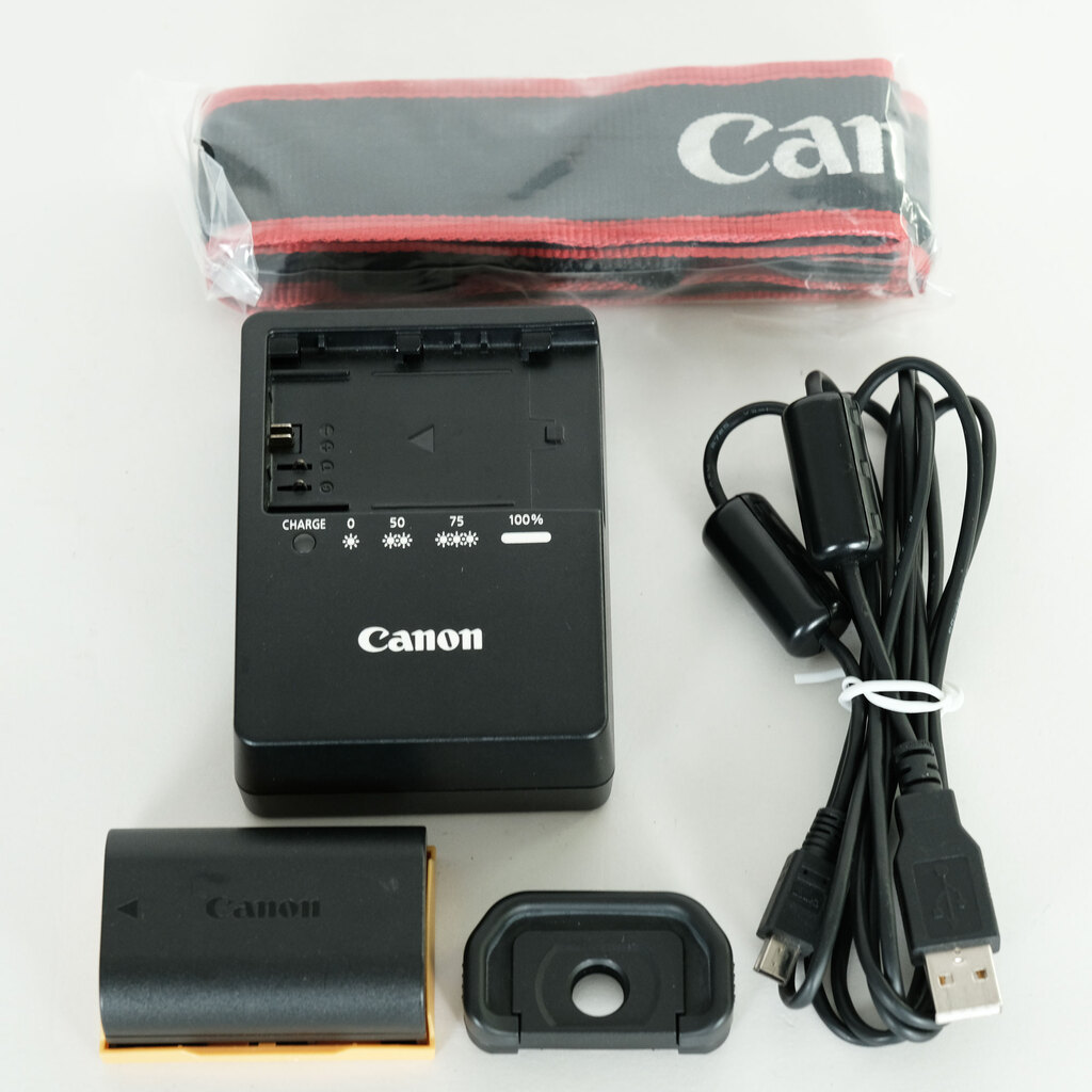 Canon EOS 6D Mark II