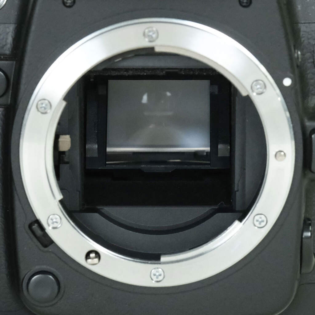 Nikon D80 ボディ